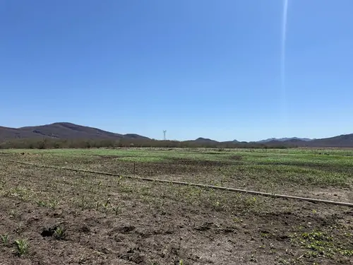 Propiedad rural de 82 hectáreas en Coyotitán, Sinaloa