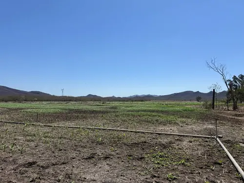 Propiedad rural de 82 hectáreas en Coyotitán, Sinaloa